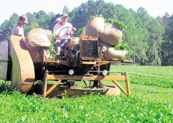 Asociaciones rurales quieren discutir el futuro del agro con los candidatos