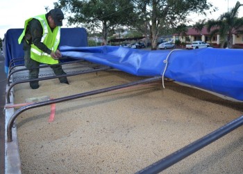 Los detuvieron en Corrientes con un contrabando de soja hacia Misiones