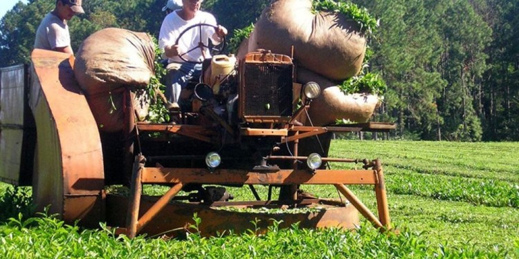 Imagen ilustrativa (Archivo)