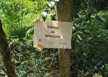 En Posadas, este año ya labraron 200 actas por terrenos sin limpiar