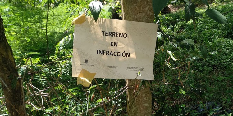 A LIMPIAR. Continúan las inspecciones en terrenos baldíos abandonados.