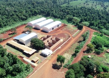 La Provincia intervendrá en la industria de la yerba