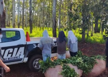 Productores se arman y critican a la Justicia