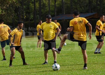 Crucero va por la primera alegría