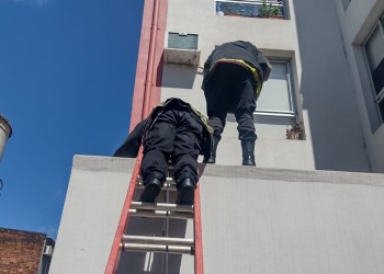 Rescataron a un gato que quedó atrapado tras caer de un muro 