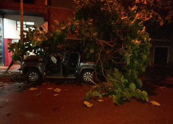 Perdió el control de su camioneta y chocó contra un árbol