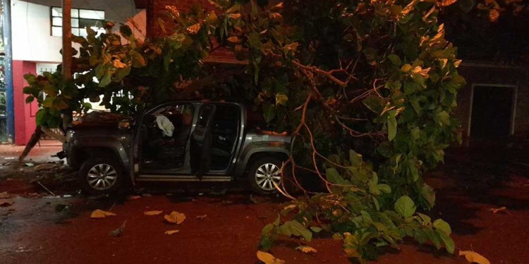 Amarok protagonista del accidente