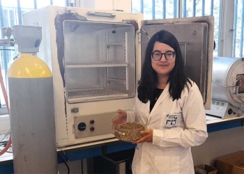 Desechos de yerba mate para almacenar energía