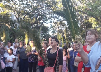 Inicio de la Semana Santa y renovación de la fe con la bendición de los ramos