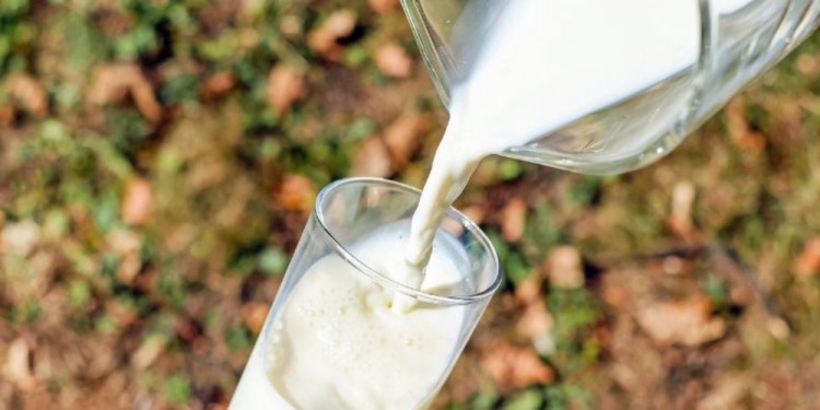 BENEFICIO. El logro contribuye a mitigar el problema mundial de deficiencia nutricional de calcio en poblaciones vulnerables en etapa de crecimiento, lactancia y vejez.