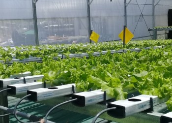 Argentina, entre los países que cuidan la capa de ozono