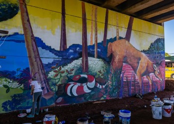 Un mural de 5.500 metros pintado por artistas misioneros se perfila en la zona de la ex-Garita