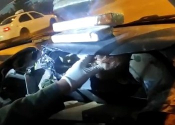 Con apoyo del can antinarcóticos “León” descubrieron marihuana oculta en un auto