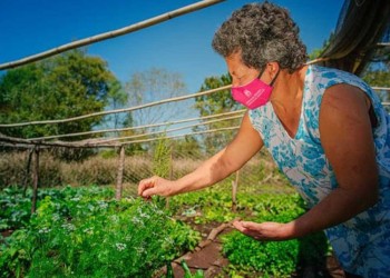Adultos de zonas rurales podrán finalizar  sus estudios
