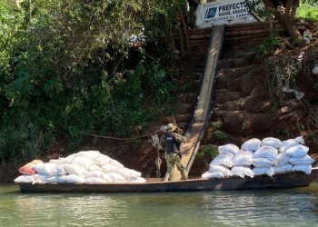 El Soberbio: secuestran más de 10 toneladas de soja que iban a ser exportadas de manera ilegal