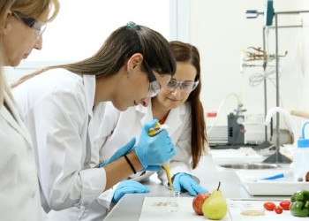 Nanopartículas de plata, plaguicidas, frutas y vegetales, ¿qué relación tienen?