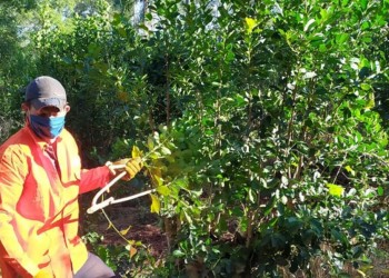 Sigue la  entrega de indumentaria para tareferos