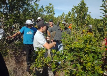 Capacitación para tareferos