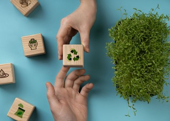 Dictarán una capacitación sobre educación ambiental a través de la plataforma virtual Guacurarí