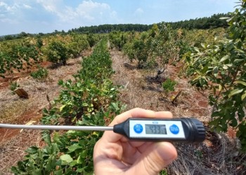 Cómo recuperar la capacidad del suelo de retener agua en la chacra