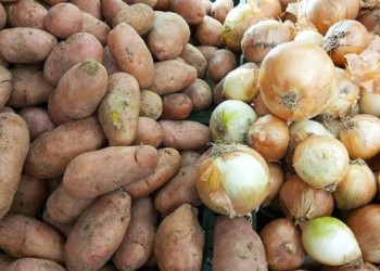¿Cuáles fueron los 10 alimentos que más aumentaron en los últimos 5 años?
