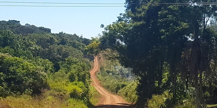 RECORRIDO. El colectivo llevaba a los alumnos a la siete de la mañana y regresaba minutos antes del mediodía.