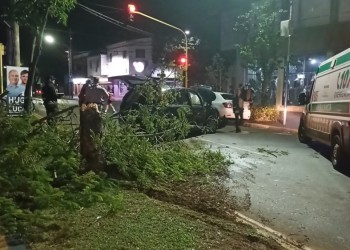 Conductor perdió el control de su auto e impactó contra un árbol en Posadas