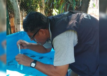 Insisten en el rol activo de los vecinos en la prevención y control de criaderos de Aedes