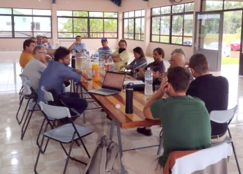 Se frustró ajuste en el té por faltazo de la industria