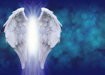 Sé digno en el infortunio