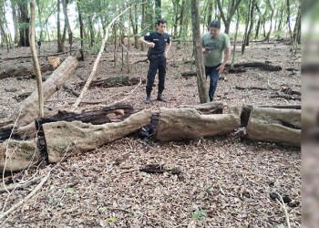 Reconocieron el cuchillo con el que habrían matado a Portillo