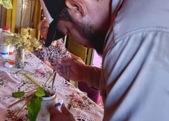 Misiones: situación epidemiológica estable de dengue y chikungunya