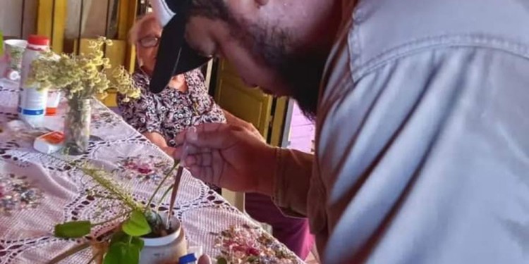 DENGUE. Según el boletín nacional no hay circulación viral en la provincia.