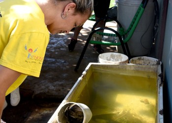 Misiones: en la última semana subieron las notificaciones y los casos de dengue