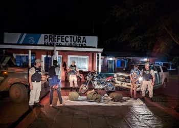 Secuestraron marihuana valuada en más de 6 millones de pesos