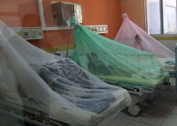 Itapúa en alerta: ya confirmaron casi mil casos de chikungunya