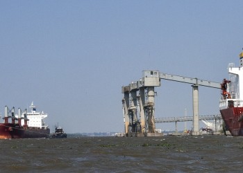 Durante febrero cayó 83% el registro de las agroexportaciones