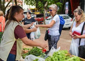 Misiones cuenta con más de 100 ferias francas y al menos 25 están en Posadas