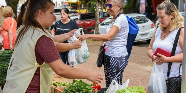 ALIMENTOS DE LA CHACRA. Posadas es el principal centro de demanda que tienen los productores misioneros.