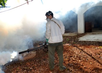 “Somos la única provincia del NEA y NOA que no tiene brote de dengue”