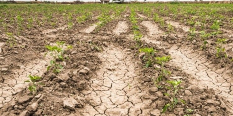 DURO GOLPE. Recordaron que hasta el momento se han perdido más de US$ 20.000 millones.