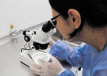 Buscan una solución biológica para reemplazar los agroquímicos