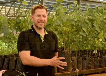 Regalan plantines para fomentar el arbolado urbano y concientizar