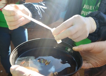 Casos de dengue subieron un 72% en el país y Misiones pasó de 8 a 15