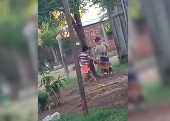 Maltrato animal: filman a dos niños golpeando y ahorcando a un perro