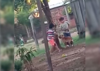 Maltrato animal: denunciarán a familia de los niños que golpearon a un perro
