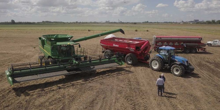 AUMENTO MENSUAL. En marzo se patentaron 192 unidades agrícolas más que en febrero, según la ACARA.