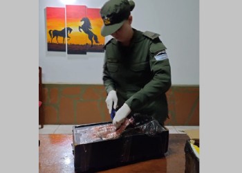 Secuestran marihuana escondida en una parlante en Fachinal