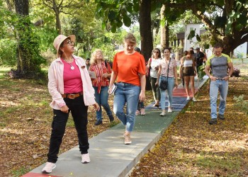 El mundo de las mariposas