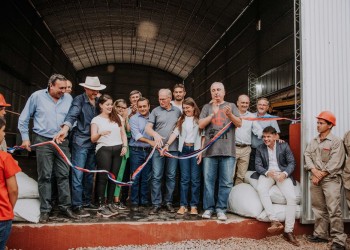 “El productor va a poder entrar con la yerba canchada y salir con el producto empaquetado”